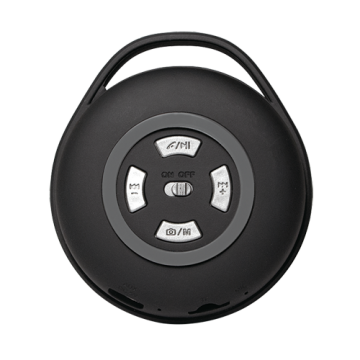 LogiLink Bluetooth Lautsprecher mit FM Radio und MP3-Player