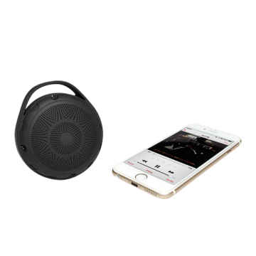 LogiLink Bluetooth Lautsprecher mit FM Radio und MP3-Player