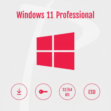 Microsoft Windows 11 Professional