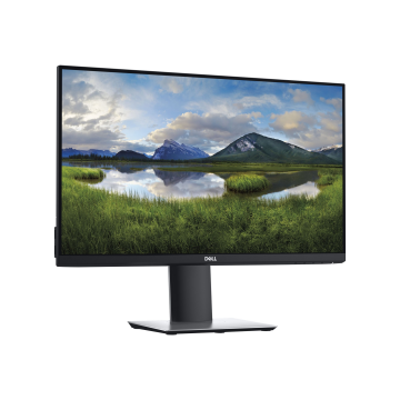 Dell P2419H