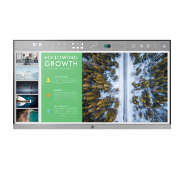 HP EliteDisplay E243